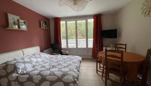 Studio meublé 26m² refait à neuf - Foto 3