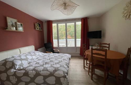 Studio meublé 26m² refait à neuf - Foto 3