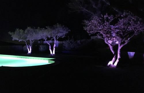 Au mas du lac piscine privee - Foto 20