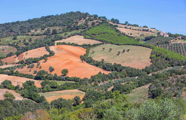 Pietra Bianca - Foto 29