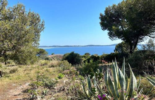 Appartement accès direct mer - Foto 18