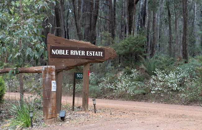 Noble River Estate - Photo 46