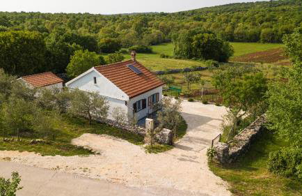 Spignoviza - Foto 54