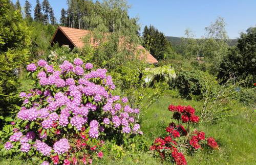 ruhiges Wohnen am Lama und Maine Coon Hof in Alleinlage in Biederbach 3 Zimmer mit Kochgelegenheit Bad - Foto 55