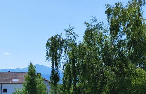 Allpartment Allgäu - Ferienwohnung mit 3 Schlafzimmern & Balkon - Foto 19