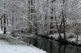 Spreewald Chalet Wohnung - Foto 9