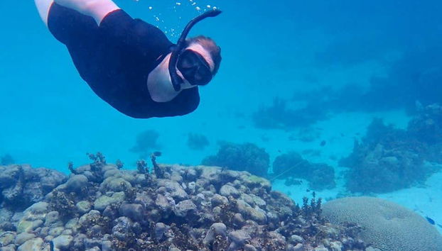 Providencia Snorkelling Tour - Foto 5