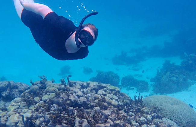 Snorkel en Providencia - Foto 5