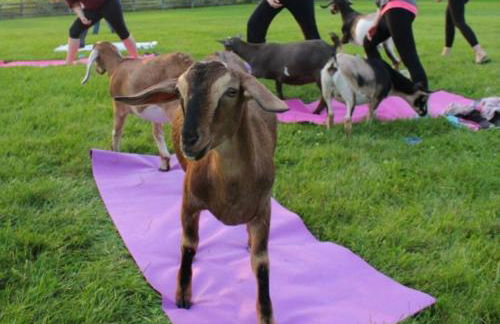 Vibrant Trendy Two Bedroom Home Near Marathon Village - Foto 51