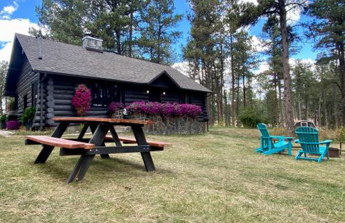 Historic Log Cabin #14 at Horse Creek Resort - Foto 25