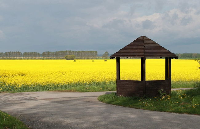 Bungalow in Pepelow Direkt am Haff - Photo 22