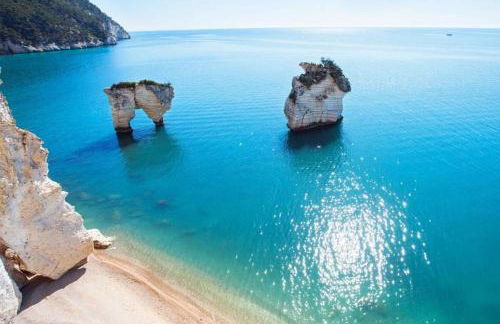 Downtown San Lorenzo - Foto 32