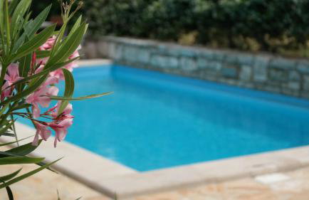 Terra Mirna - Urlaub für die Sinne - Foto 63