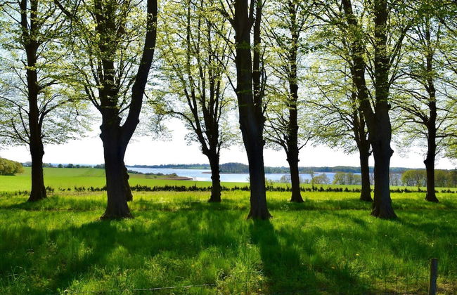 6 Person Holiday Home in Rude - Foto 6