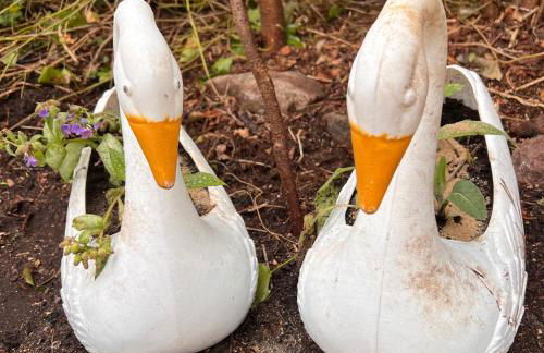 Beautiful Highland Sanctuary - Foto 64