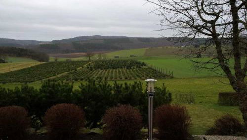 Ferienwohnung Haus Weitblick - Foto 5