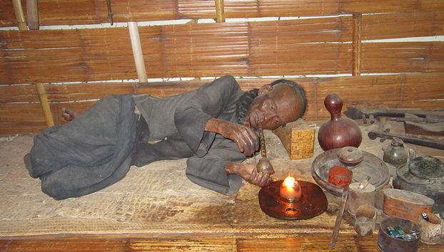 Dia Inteiro Doi Tung e Salão do Ópio - Foto 3