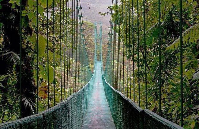 Classy artsy ocean-view unit near pool at Pacifico in Coco sleeps 6 - Foto 43