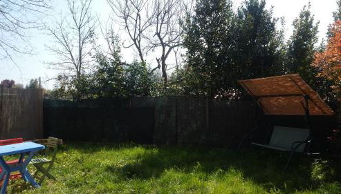 Ulivo Della Querce - Foto 3, Garden