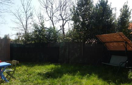 Ulivo Della Querce - Foto 3