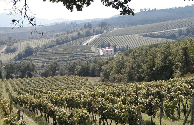 Foresteria Castello di Verrazzano - Photo 35