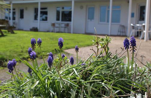 Salty Air - Mount Brioni - Foto 28