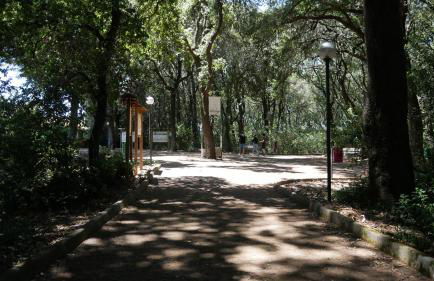 Casa Carolina - Foto 21