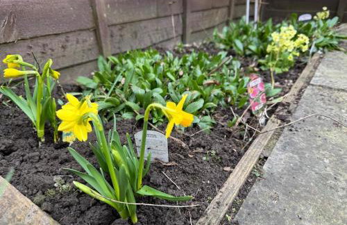 Calm Oasis Honley Bridge - Foto 31