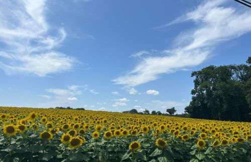 Virolet Barn - Foto 49