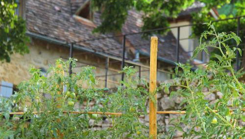 Maison Milou - Foto 4