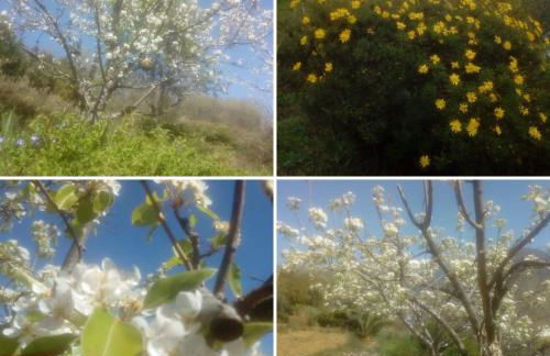 Casa Rural: La Casa Mágica de Gredos - Foto 41