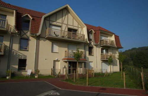 Sur le chemin des phoques - Foto 1