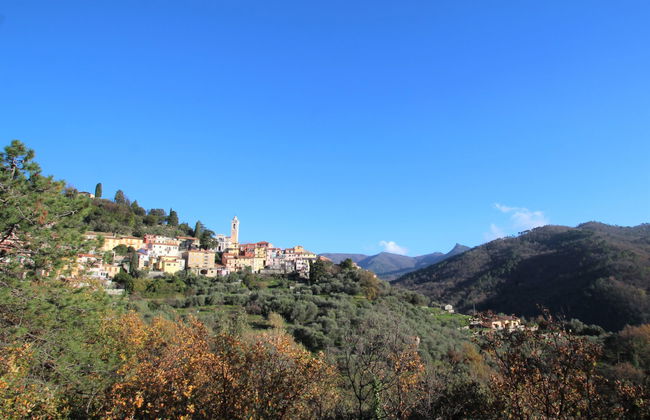 Ciliegiolo - Foto 31