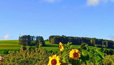 Amy's Apartment, relax and enjoy - Foto 3