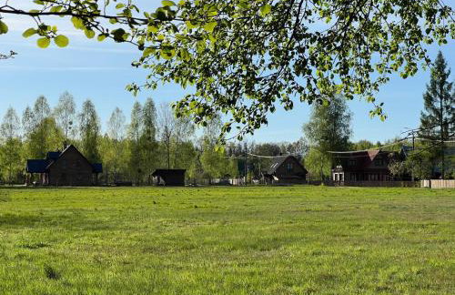 Siedlisko Jaskółka - Puszcza Białowieska - Foto 25