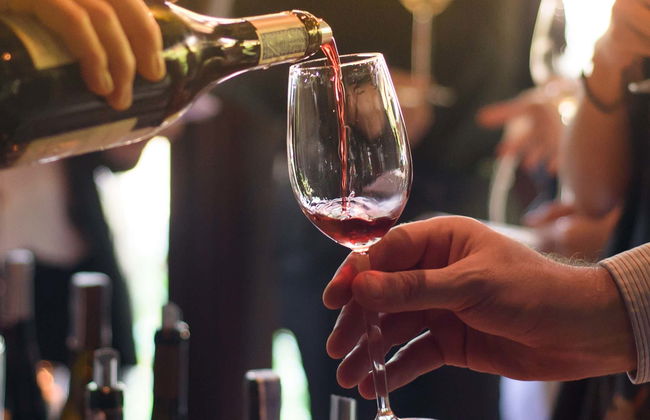 Visita a una cantina + Degustazione - Foto 6