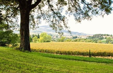 Casa Fabbrini Agriturismo - Foto 24