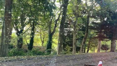 Country Mill House - Foto 5