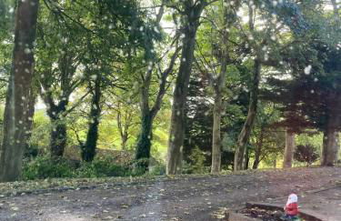 Country Mill House - Foto 5