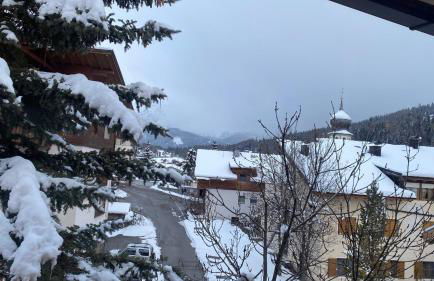 The Grey Lodge at Bosco Verde - Photo 43