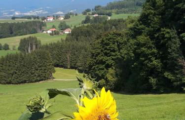 Ferienwohnung Waldhauser - Foto 7