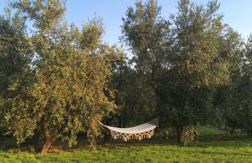 Agriturismo La Casina nel Vigneto - Foto 27