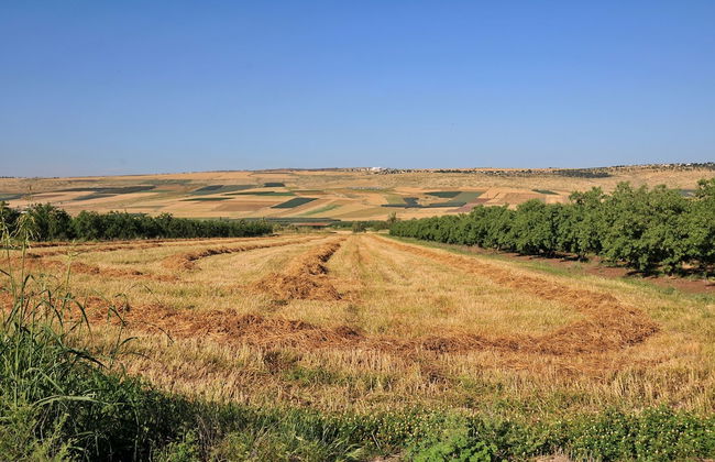 Zimmer BaSadot - Foto 43