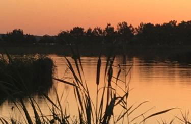 La Maison des Jardins - Photo 28