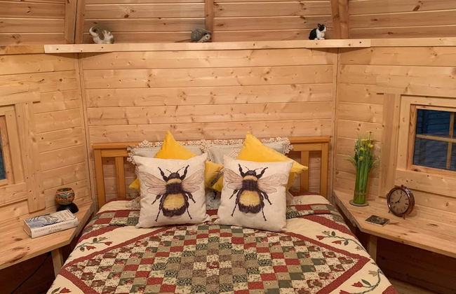 Starry Meadow - Foto 28