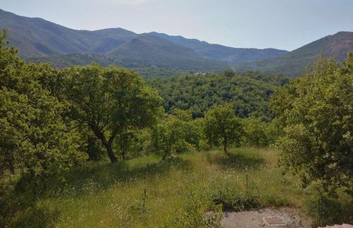 Villa Fraoulitsa - Foto 17