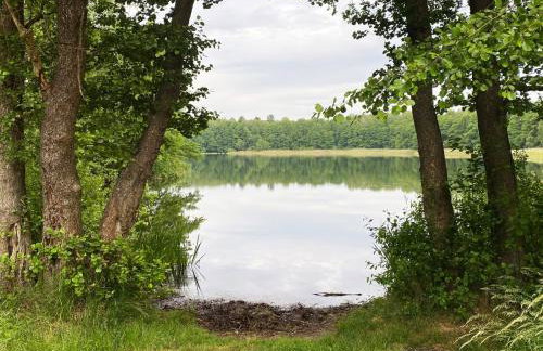 Dom Sielskie Szkotowo - Foto 24