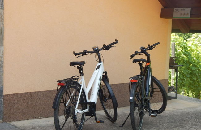 Vineyard cottage Ucman - Foto 6