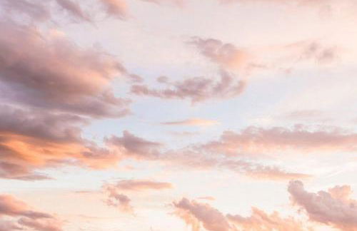 Wildgrün Panorama Lodge 15 - Foto 14