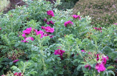 Ferienhaus Däschinger Das Zweiradparadies - Foto 41